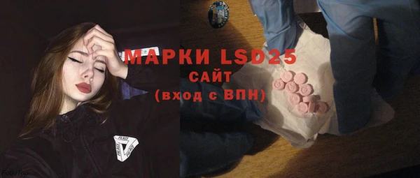 PSILOCYBIN Ельня