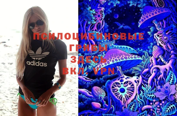 ГАЛЛЮЦИНОГЕННЫЕ ГРИБЫ Елизово
