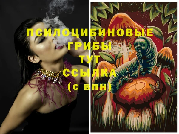 mdma Заводоуковск