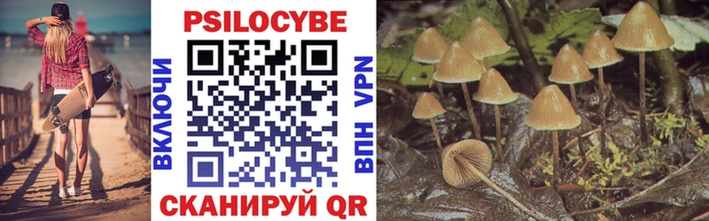 Галлюциногенные грибы Psilocybine cubensis  Заринск 