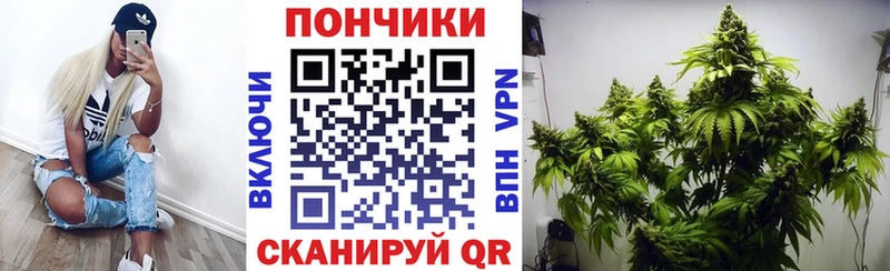 Бошки Шишки VHQ  Заринск 